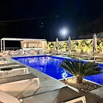 Ig - 